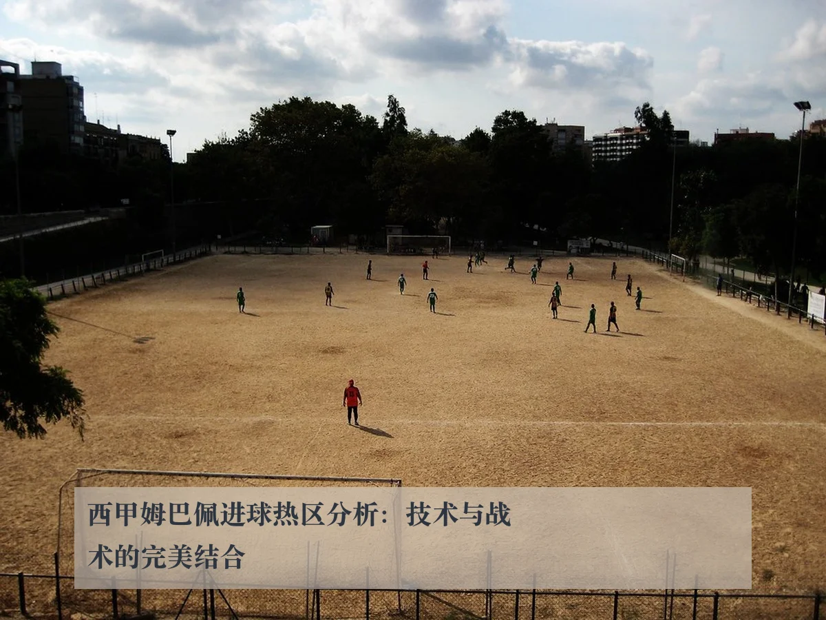 西甲姆巴佩进球热区分析：技术与战术的完美结合